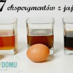 eksperymenty z jajami