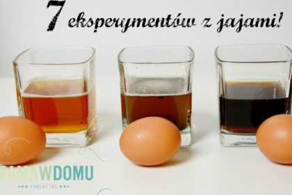 eksperymenty z jajami