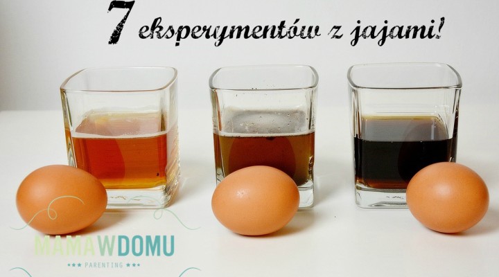 eksperymenty z jajami